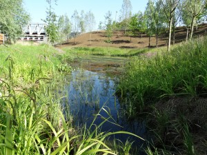 Frog Pond Northern Parklands QEOP Legacy